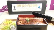 「完全養殖ウナギ」数量限定で初の試験販売　価格は従来の約2.5倍1尾4500円ほど　山田水産の店舗やイオンのオンラインサイトなど