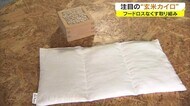 元CAが“玄米カイロ”を開発 捨てられるコメを減らしたい…コメ農家の娘の挑戦【岡山・岡山市】