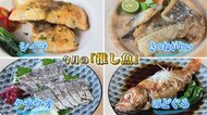 タチウオのあぶり刺身・ノドグロの煮つけもお手の物! 職人が目利きした旬の魚を簡単調理「サカナDIY」が話題【山口発】