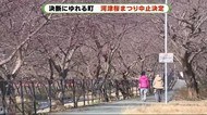 「苦渋の決断」 経済効果200億円の「河津桜まつり」中止決定 静岡・河津町