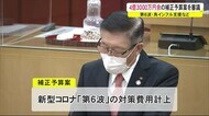 新型コロナ・鳥インフル対策など4億円余の補正予算案 12月県議会開会 秋田