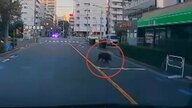 東京江戸川区にイノシシ？早朝の幹線道路で「イノシシが走っている」通報が相次ぐ…区は「近づかないで」注意呼びかけ