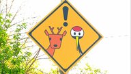 【ユニーク×かわいいけれど“注意必要”】ドライブシーズン到来！観光客も気をつけたい北海道「珍しい動物標識」釧路にはシカ4頭の道路標識―早朝に現場を訪れると驚きの光景が―シカ絡む事故は5460件と過去最多
