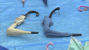 児童育成クラブの傘50本以上折った疑いで男子高校生など2人を逮捕 大分・大分市