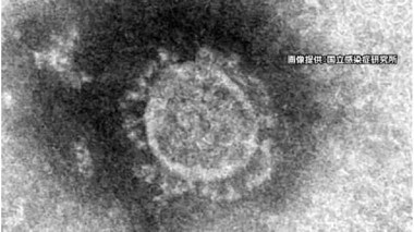 コロナワクチン 自治体トップの“先行接種” 相次ぐ 「キャンセルでの廃棄を避けるため…」