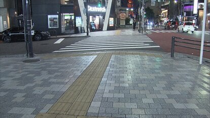 フランス人のマニーが好きなら従うべき11のフランス人