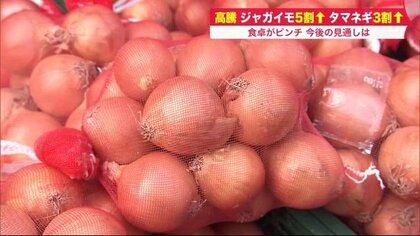 干ばつ・ひょうで野菜高騰…ジャガイモ5割高、タマネギ3割高で“小ぶり”　鍋物シーズンは「試練の年」【北海道発】