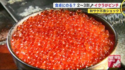 秋サケが不漁でイクラがピンチ　2～3割値上がりで食卓に上がる？