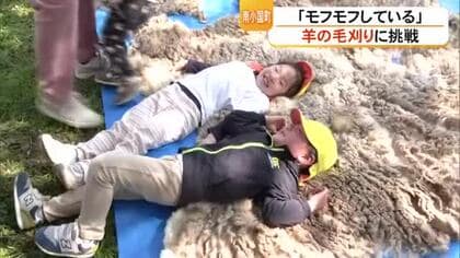 南小国町の子どもたちが羊の毛刈りに挑戦【熊本】
