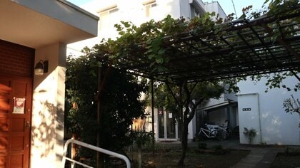 病と闘う8万人の家族を支えた“ぶどうのいえ”が見つめた“出会いと別れ”…11歳で心臓病の我が子失った母「心が安らいだ」