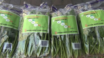 不審な電話…家族や警察に“ほうれんそう”を　練馬区3署合同特殊詐欺撲滅キャンペーン