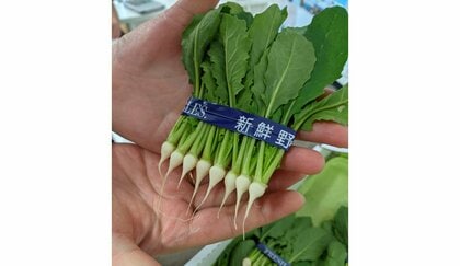 わずか約1㎝の野菜“間引き菜”が話題…「生産者は数えるほど」どんな味か担当者に聞いてみた