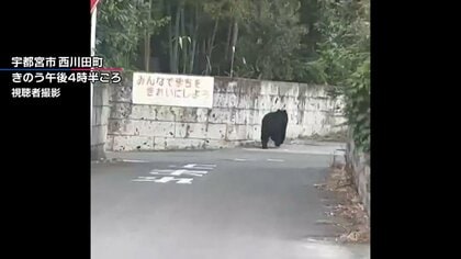 犬の散歩中にクマに遭遇した住民も　宇都宮で目撃情報相次ぐ　市内の全公立小中学校が休校