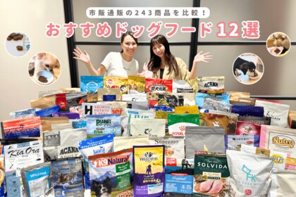 プロが本気でおすすめするドッグフードは?全243商品から最高評価ドッグフード12商品を決定!