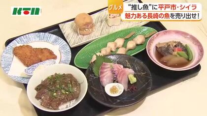長崎のおいしい魚を売り出せ！「推し魚」第3号は…平戸市のシイラ！