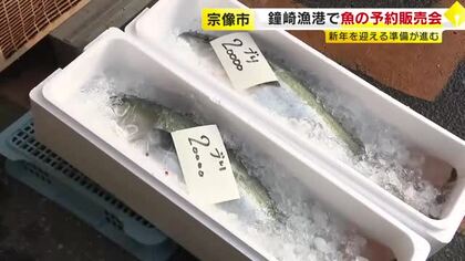 鐘崎漁港で正月用の魚の予約販売会　新年を迎える準備が着々と進む　福岡・宗像市