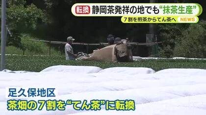 7割を煎茶から碾茶に転換　“静岡茶発祥の地”で抹茶生産　世界的なブームに伴う需要の高まりを受け