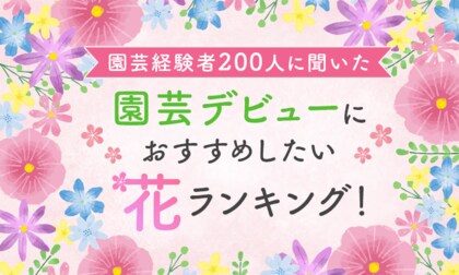 【園芸経験者200人に聞いた】園芸デビューにおすすめしたい花ランキング！