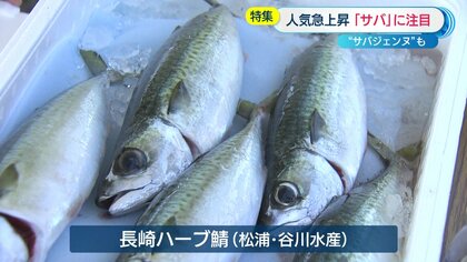 サバジェンヌ”も太鼓判のサバグルメが勢揃い「鯖サミット」 ことしは