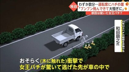 珍現象】車の中に約500匹のハチ集結！わずか数分でシャンデリアのよう