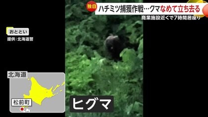 独自】「牙が食い込んだ」熊と“格闘”60代男性が負傷 岩手では住宅街