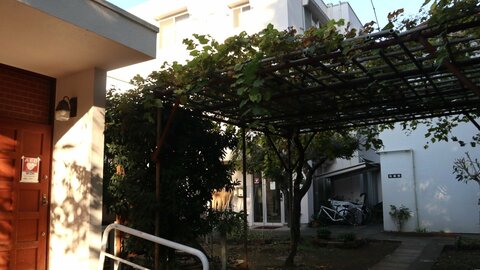 病と闘う8万人の家族を支えた“ぶどうのいえ”が見つめた“出会いと別れ”…11歳で心臓病の我が子失った母「心が安らいだ」