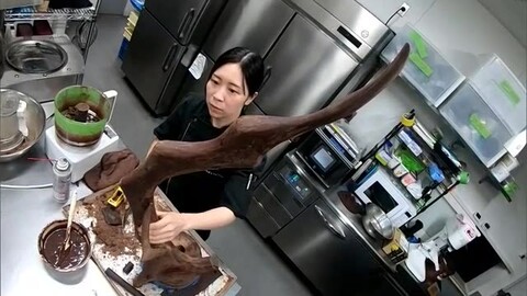 国内最大級のコンテスト「ジャパン・ケーキショー」山陰から“登竜門”に挑む若手パティシエに密着