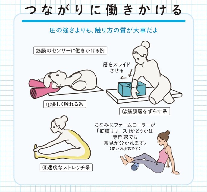 イラストは筋膜のアプリートは数ある中の一例『筋肉のつながり図鑑』より