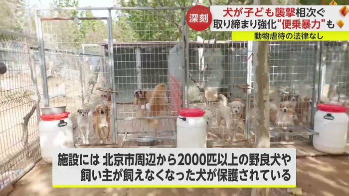 北京市にある保護施設
