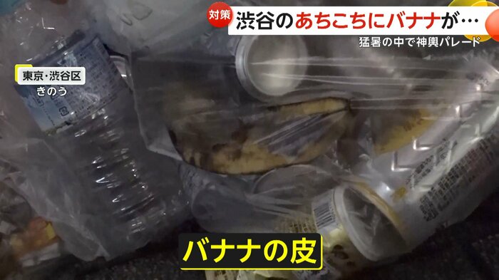 空き缶とバナナの皮が入ったゴミ袋
