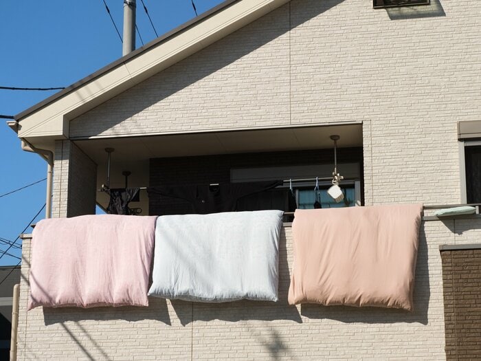 片面1時間ずつを目安に天日干し(イメージ)