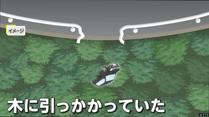 木に車が引っかかったために助かった運転手(イメージ)