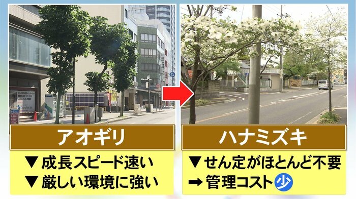 ニュースONE