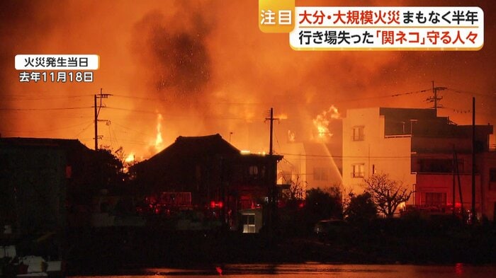 約6.4ha・196棟を焼失（2025年11月18日）
