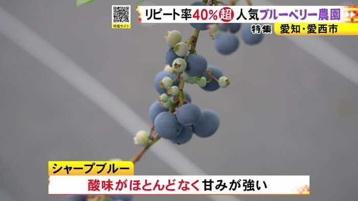 ニュースONE