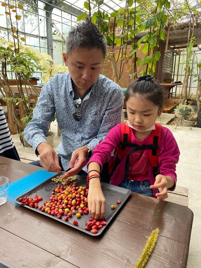 次女のここちゃんと沖縄のコーヒー農園見学
