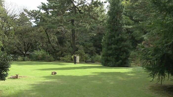 秋篠宮ご夫妻が歩かれる先には…　宮内庁から提供された動画より