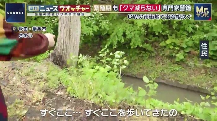 自宅横の用水路でクマを目撃した住民
