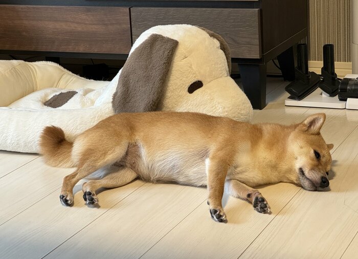クールダウン中