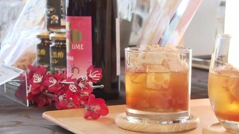 焼酎の新しい飲み方「出汁割り」　鹿児島プロジェクトが提案する6種のレシピ｜FNNプライムオンライン