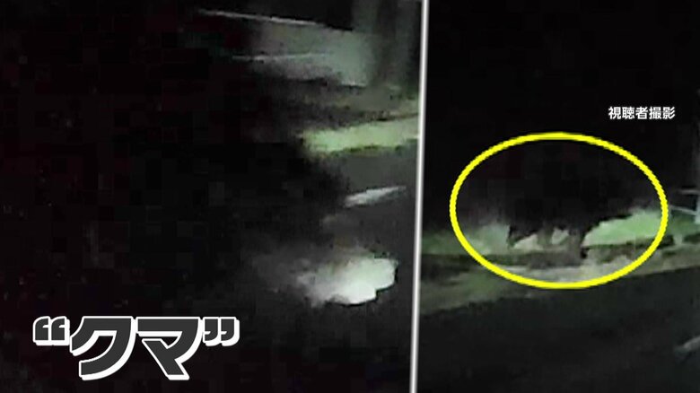 “クマ”衝突の瞬間 「避けきれず」ミラー折れ、車体は大きくへこむ 夜の道路脇から飛び出す 北海道・歌志内市|FNNプライムオンライン