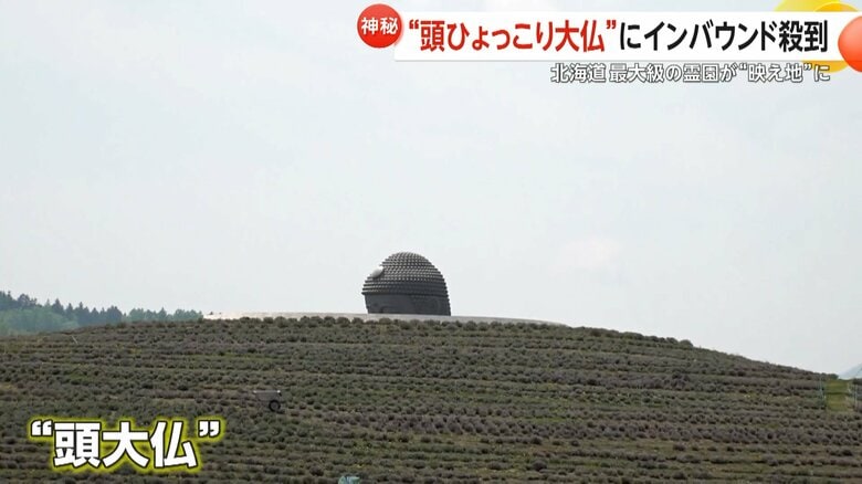 “頭ひょっこり大仏”にインバウンド人気殺到！北海道最大級の霊園が“映えスポット”化　無数の巨大「モアイ像」も…札幌市｜FNNプライムオンライン