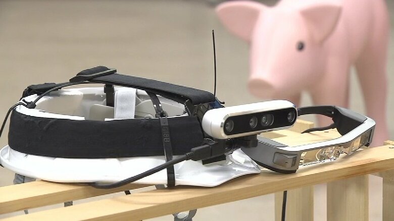 豚の体重が"見える”めがね開発　AIやAR技術駆使して「一番利益が上がる時期に出荷可能に」【宮崎発】