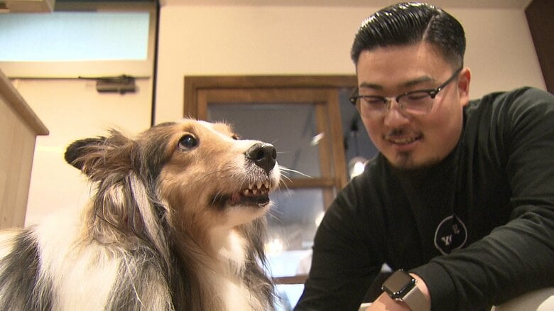 「動物は癒やしだけなのか」殺処分ゼロを支える地道な活動　行き場をなくした犬や猫と飼い主をつなぐ【長崎発】｜FNNプライムオンライン