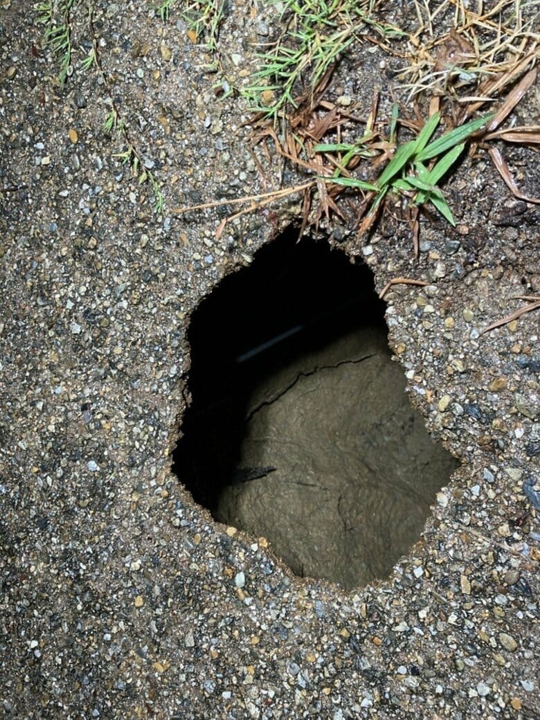 【速報】公園遊歩道を歩いていたら“突然”穴で男性転倒しけが　直径30センチ深さ1.5メートル　神戸市｜FNNプライムオンライン