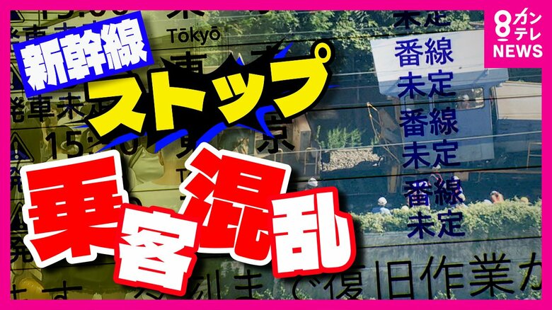 新幹線依存の危うさ　飛行機の16倍の輸送力　東海道新幹線ストップで『客大混乱』　北陸新幹線の代替機能に期待｜FNNプライムオンライン