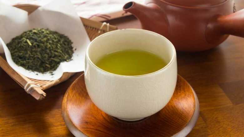 緑茶を飲むとインフルエンザの予防効果！ “新型”にも効くというその理由を聞いた｜FNNプライムオンライン