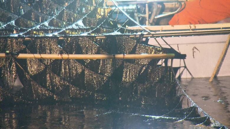 ご飯のお供が“高級化”か…『海苔』の価格がここ数年で約1.8倍に高騰 背景に一大産地・有明海の栄養不足｜FNNプライムオンライン