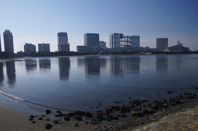 「ナミウチコモチコイソメ」を発見したお台場海浜公園の様子