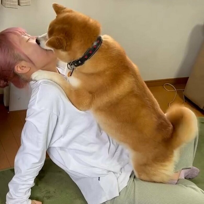 歓迎のペロペロ